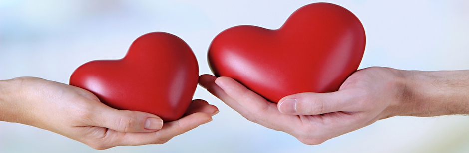 #nivocaption1_89 Vinaora Nivo Slider 3.x