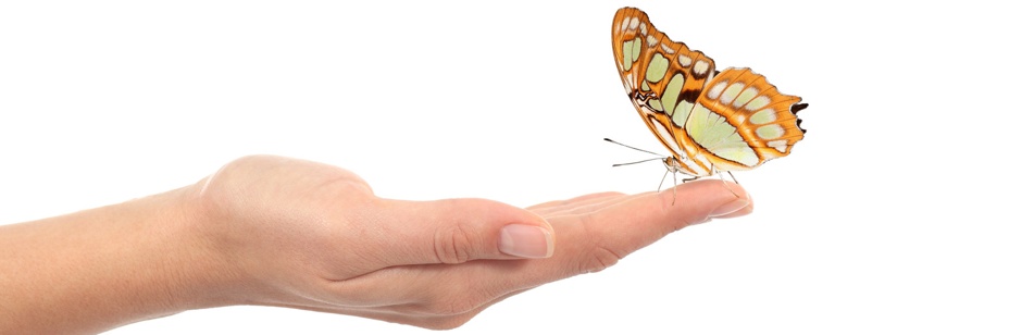 #nivocaption4_89 Vinaora Nivo Slider 3.x